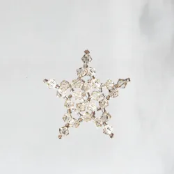  - Brooch Ara -  - Laiton argenté